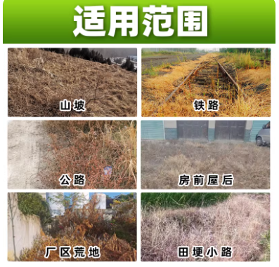 b2cfc06c-13db-45d6-ae29-11b96b91a294.png