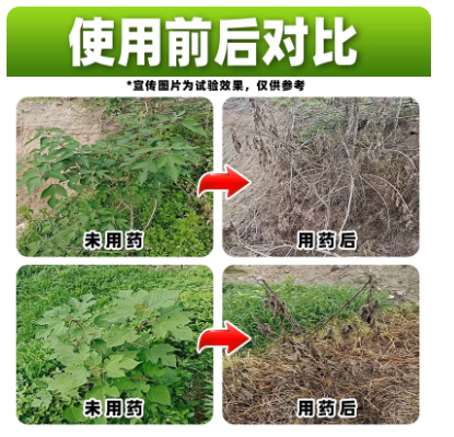 ebbeb7be-81e5-4a14-9151-ed700439ed06.png