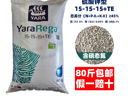 affa974b-102d-4b16-8acf-4e6c8f0b064c.png