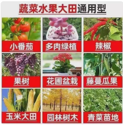 93fc2da6-3c97-48f6-a96a-065123934972.png
