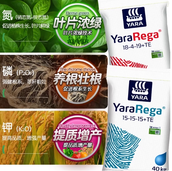 8ef3eea1-832f-4fe8-ae57-27c5d86d1258.jpeg