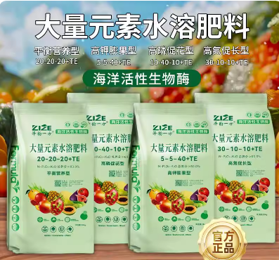dd931a2b-0dc2-4f08-b171-28e2bdd1b481.png