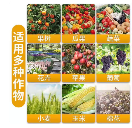 8eb90dc2-e148-49a2-9cda-c335ed9e37af.png
