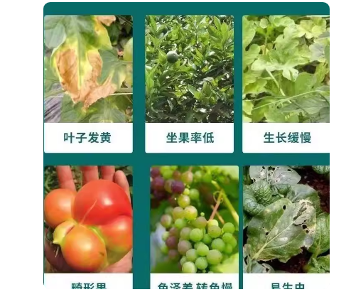 1ea5db14-e9f8-4320-a4c8-3ba61a75c85b.png