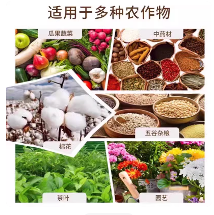d386b1c8-ec1f-4320-9f54-9a2b3dd64405.png