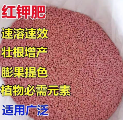 正品肥料氯化钾水产高效农用通用速溶进口养殖果树叶面肥钾肥水溶