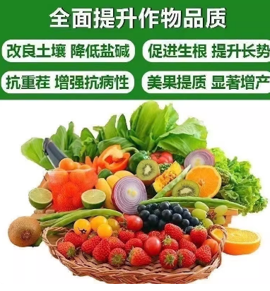 324c7f23-54df-4c28-8257-8c771de1c196.png
