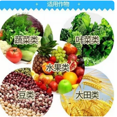e8d06019-3fa6-49db-abc7-52e5d7d704af.png