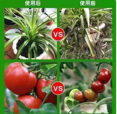 881c69a4-76c5-4b8d-be86-ae6bcae9d86c.png