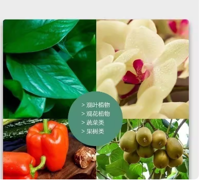 1110ffab-063d-470d-a87d-6df85d6731d6.png
