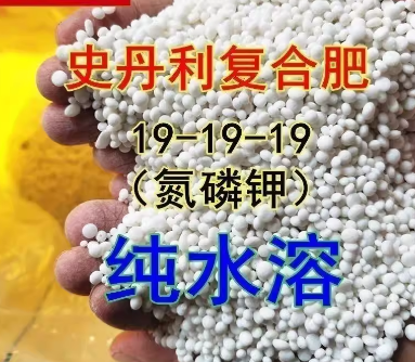 ff8a1b1d-3460-4fff-bc89-d353b7274530.png