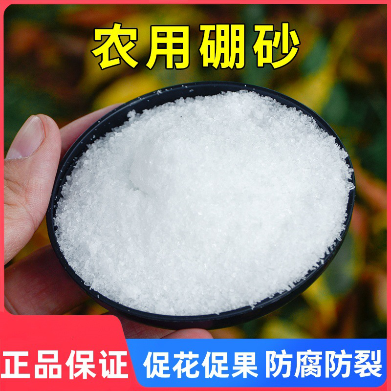 硼砂