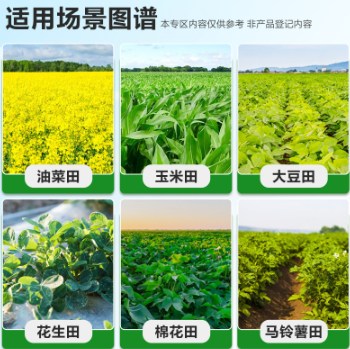 ca518fcd-41b9-4d36-be2e-1659c5fad3a5.png