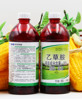 8aa1db64-73ab-4e22-ad58-b762677abcf2.png