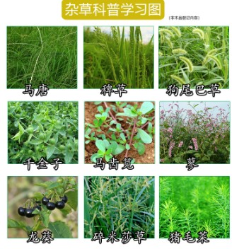 23d316bb-b3a5-407f-908d-d38c2782a2b3.png