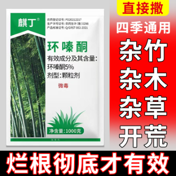 8e005e13-170b-41d2-812b-cff57b166f1f.png
