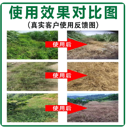 9578a46b-3725-45c7-819c-b01bfbfc3d4a.png