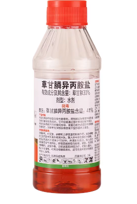 b9cf8079-9d02-4d52-8cd3-652b454d952a.png