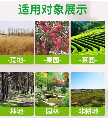 e5abea81-e6d9-4ede-bc47-d312145bd1f4.png