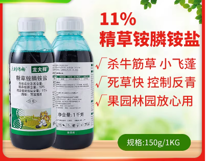 龙大师11%精草铵膦铵盐除草剂果园茶荒地小飞蓬精草铵磷铵盐正品