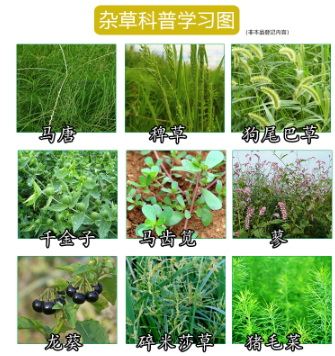 1a251fd3-e1ba-4b5e-986a-d8cfb1d28db9.png