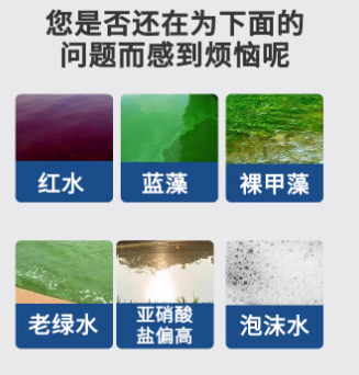 ecd56e65-70b2-4f12-91e1-c8fed099e6b7.png