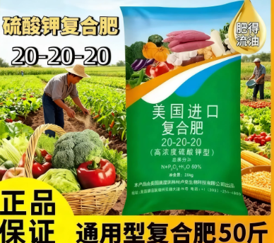 8074007a-9c32-4a8e-8637-67a1fd0eec52.png
