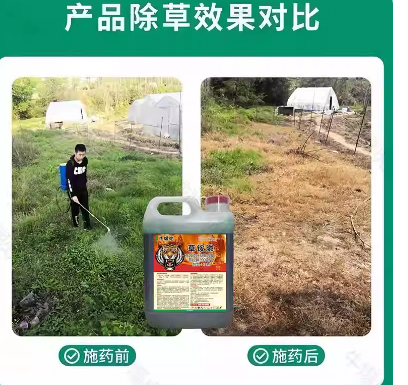 18da834f-271d-4f17-a702-8b039c42407a.png