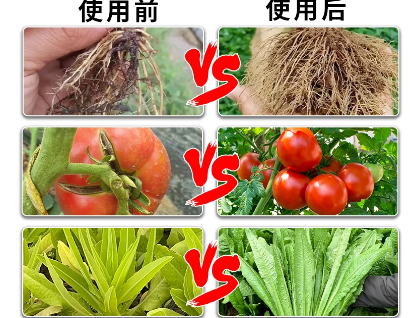 e5a5f8ba-6dd3-4af0-8978-7b446e8ddc42.png