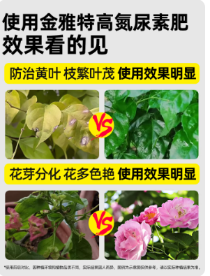 5116943f-fbe9-4b07-a566-0f83b6842d0a.png