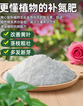 94d38a55-e73e-4eaf-85df-ebbeddc45a8e.png