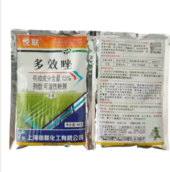 f5470159-f6a1-4fd4-853c-82bffd86e72e.png